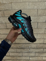 Nike Air Max Plus Tns Dusty Cactus Tiffany